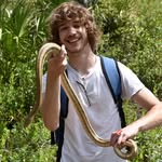 Renato I. Guzman - @macrozoologist - Instagram