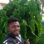 Renato Levi Ferreira Da Silva - @renatolevi247 - Instagram