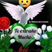 Renato Luna - Facebook