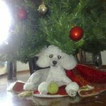 Renato Luna - @renato.luna - Instagram