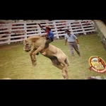 Renato Macedo - @renatomacedo38 - Instagram