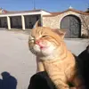 renato.marin98 - @renato.marin98 - TikTok