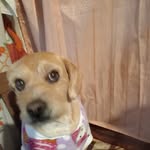 Renato Marquez - @renato.marquez.807978 - Instagram