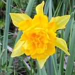 Renato Moncini - @moncinirena1946 - Instagram