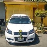 Rene Alanis - @alanis2312 - Instagram