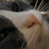 Rene Allard - @rene.allard - TikTok