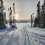 Rene Allard - @renebstd - Instagram