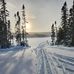 Rene Allard - Facebook