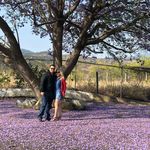 René Anaya - @rene_anaya_ - Instagram