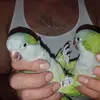 reneanaya79 - @ricky.anaya1 - TikTok