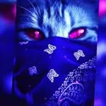 René Anderson canisalez fuente - @reneandersoncanisalez - Instagram