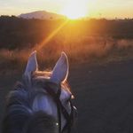 René aranda - @renearanda35 - Instagram