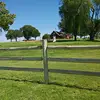 Rene Arevalo - @renearevalo55 - TikTok