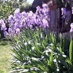 René Aubert - @rene.aubert.3 - Instagram