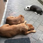 Auer Rene - @auer.rene - Instagram