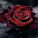 Renee Gaughan Auerbach - @reneeauerbach - Instagram