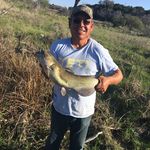 Rene Avalos - @avalos4557 - Instagram