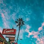 Rene Ayon - @ayon8291 - Instagram