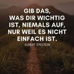 Rene Backert - @backertrene - Instagram