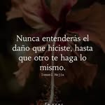 Rene Báez - @renebaezcri - Instagram