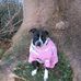Rene Barnard - Facebook