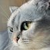 Renee Barnard - Facebook