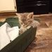 Renee Barth - Facebook