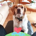 René Barthelemy - @rene.barthelemy.79 - Instagram