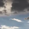 René Scheibenbauer - @renescheibenbauer - TikTok