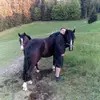 Rene Baumann - @rene.baumann8 - TikTok