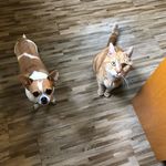 René Béchard - @becharre47 - Instagram