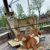 rener.boucher.bechard - @rener.boucher.bechard - TikTok