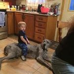 Francis Rene Belanger - @francisrenebelanger - Instagram