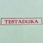 Rene Bennett - @_testadura_ - Instagram