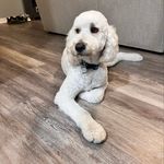 Jessica Benson - @renebenson83 - Instagram