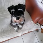 Rene Berger - @reneberger4 - Instagram