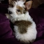 René Berger - @reneberger2 - Instagram