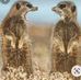 Rene Berger - Facebook