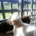 Rene Berry - Facebook