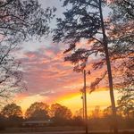 Renee Berry - @renee.berry.946 - Instagram