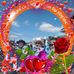 René Berthiaume - Facebook