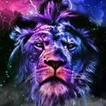Rene Berthold - @reneberthold55 - Instagram