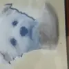 rene berthold - @öschene - TikTok