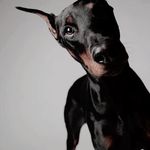 @renee.bess.elink - Instagram