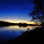 René - @renebest2 - Instagram