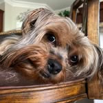 Rene Bonilla - @sirspeedy31 - Instagram