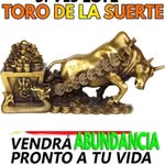 Darwin rene bosquez zanbrano - @darwinrenebosquez - Instagram