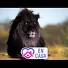 Rene Moreno Bosquez - @renemorenobosquez - TikTok