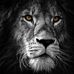 Rene Brandon - Facebook