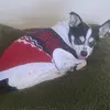 irenebucio3 - @irenebucio3 - TikTok